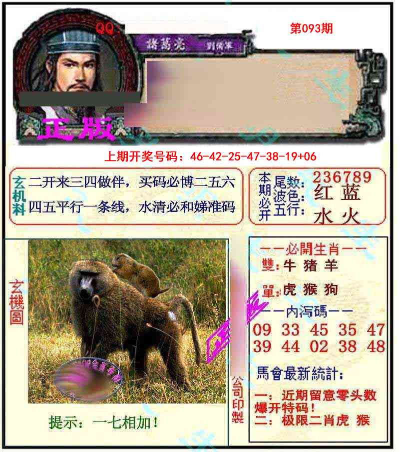 093期正宗孔明[图]